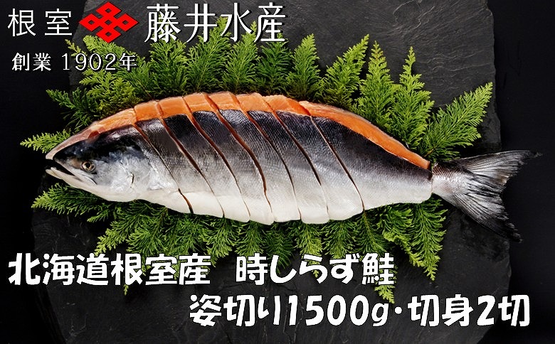 【北海道根室産】時しらず鮭切身1.5kg×1P・1切×2P F-42020