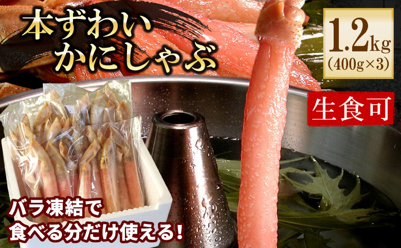 ＜12月21日決済分まで年内配送＞【生食可・カット済・棒肉のみ】ずわいかにしゃぶ1.2kg F-56014