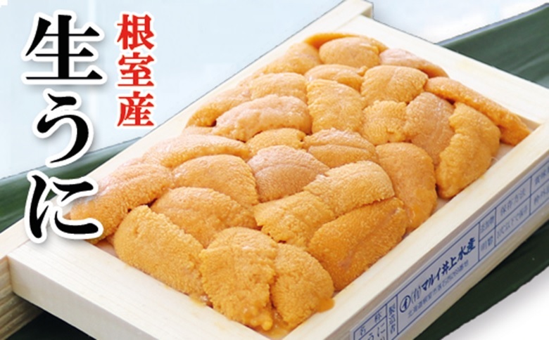 ＜12月17日決済分まで年内配送＞【北海道根室産】エゾバフンウニ100g×1折 F-71013