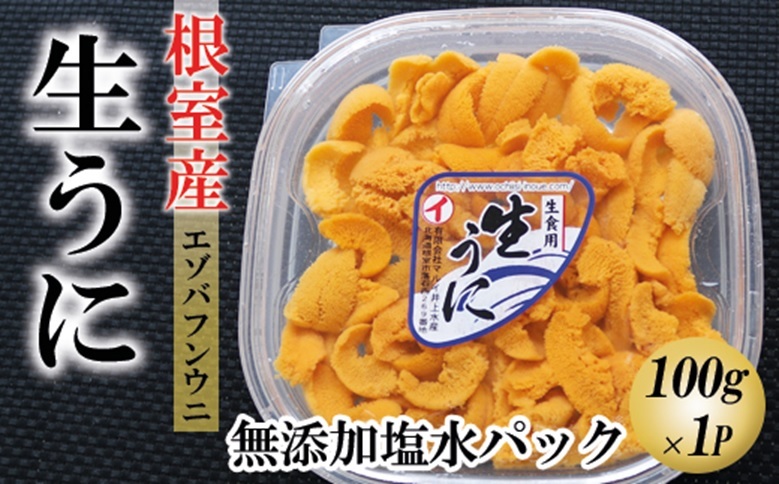 【北海道根室産】エゾバフンウニ塩水パック100g×1折 F-71014