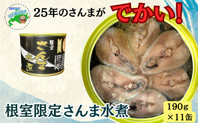 ＜12月21日決済分まで年内配送＞【北海道根室産】さんま水煮11缶 F-78012