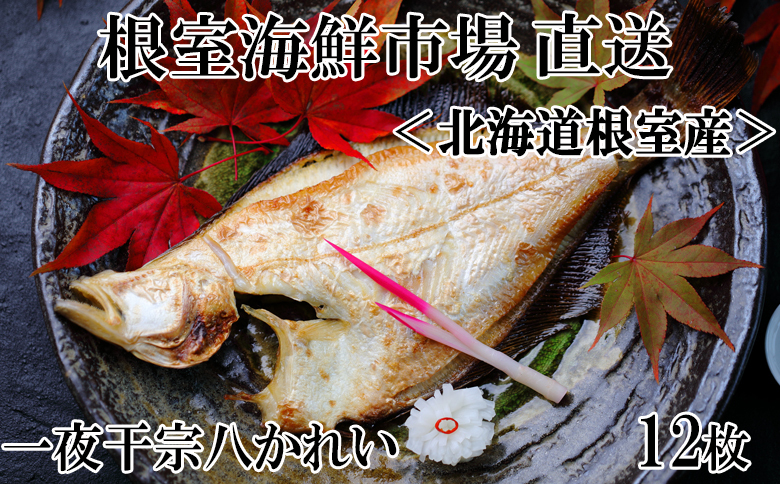 【北海道根室産】一夜干し宗八かれい12枚 G-11006