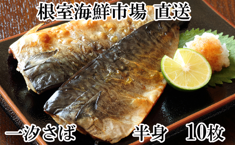 ＜12月10日決済分まで年内配送＞無添加天然サバフィーレ10枚 G-11022