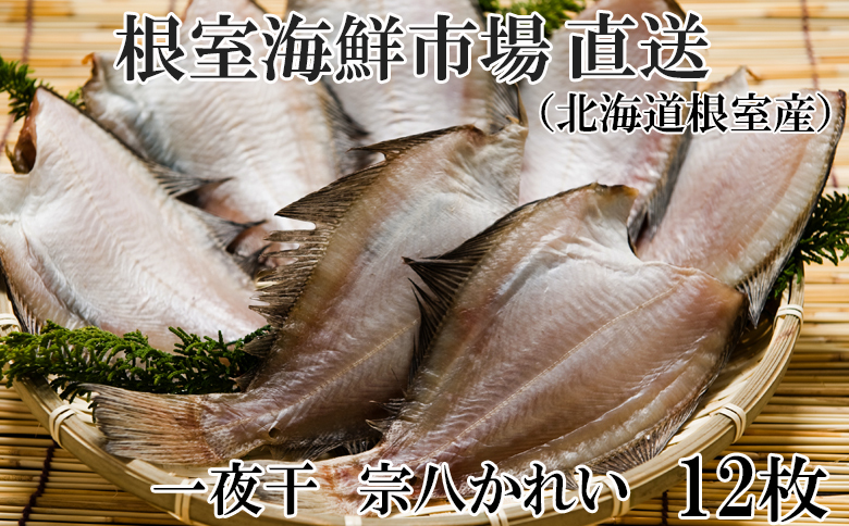 ＜12月10日決済分まで年内配送＞【北海道根室産】一夜干し宗八かれい12枚 G-14006