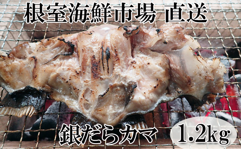 銀だらカマ1.2kg G-14008