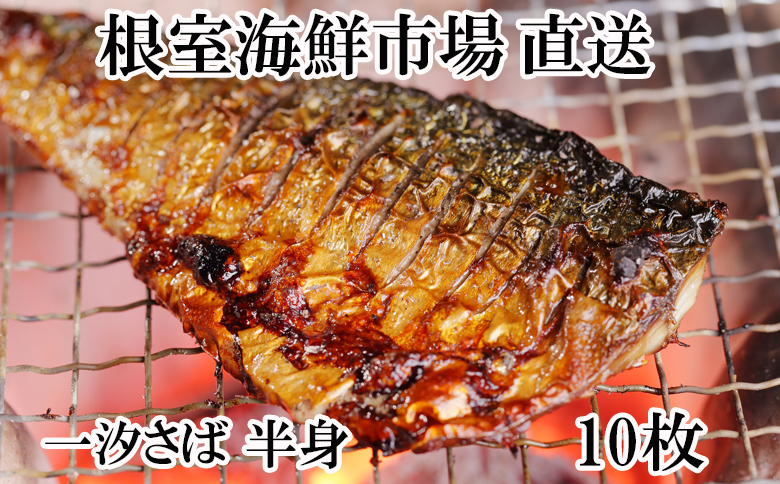 無添加天然サバフィーレ10枚 G-14022