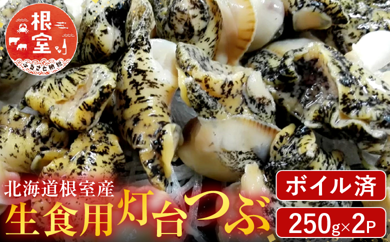 【北海道根室産】生食用灯台つぶ(ボイル済)250g×2P(計500g) G-14040