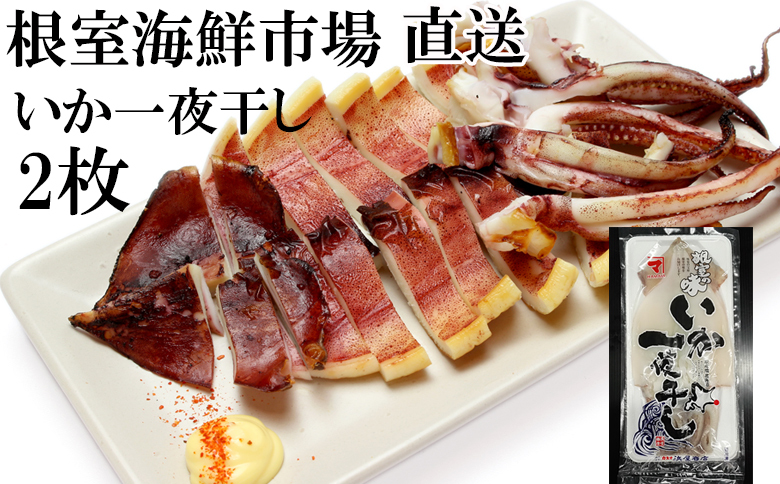 ＜12月10日決済分まで年内配送＞いか一夜干し2枚 G-14079