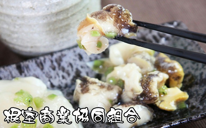 ＜12月10日決済分まで年内配送＞つぶわさび500g G-18007