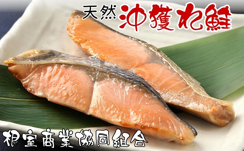 沖獲れ鮭切り身5切×3P G-18013