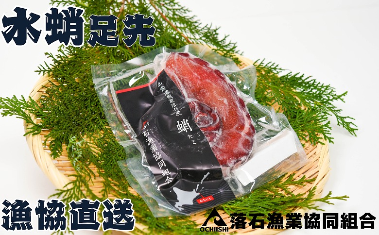 ＜12月14日決済分まで年内配送＞【北海道根室産】ボイル水たこ足先2P(計600g) G-20003