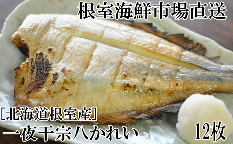 ＜12月10日決済分まで年内配送＞根室海鮮市場＜直送＞【北海道根室産】一夜干し宗八かれい12枚 G-28006