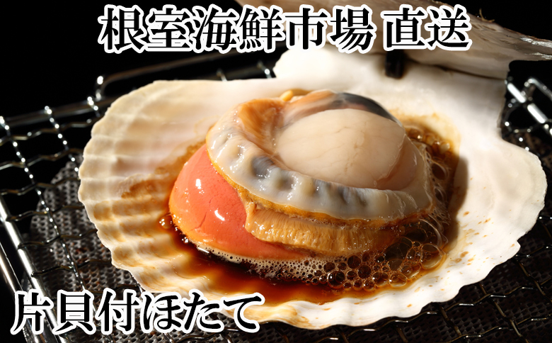 ＜12月10日決済分まで年内配送＞根室海鮮市場＜直送＞片貝ほたて10枚 G-28044