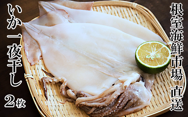 ＜12月10日決済分まで年内配送＞根室海鮮市場＜直送＞【北海道産】いか一夜干し2枚 G-28079