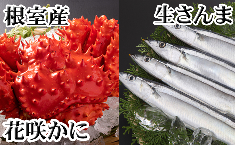 【北海道根室産】花咲かに300g前後～450g前後×1尾、冷凍生さんま5尾×1P G-30002
