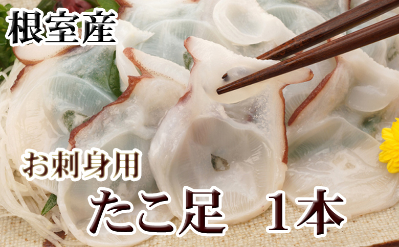 ＜12月21日決済分まで年内配送＞【北海道根室産】たこ足500g前後～800g前後×1本 G-30008