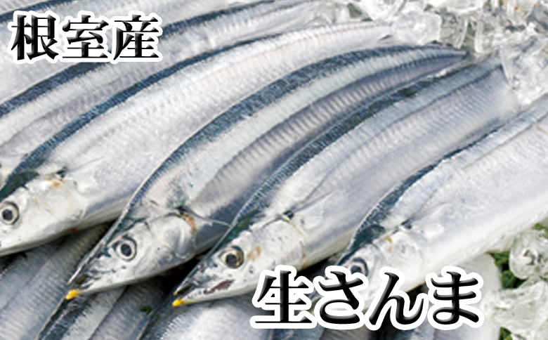 【北海道根室産】冷凍生さんま5尾×2P G-36001