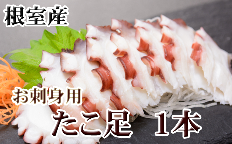＜12月21日決済分まで年内配送＞【北海道根室産】たこ足500g前後～800g前後×1本 G-36008