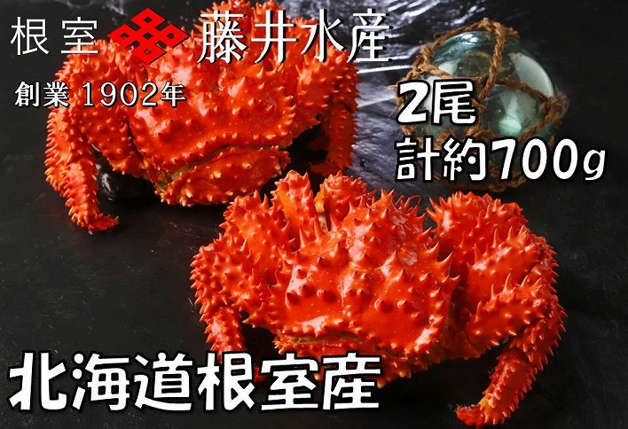 ＜12月21日決済分まで年内配送＞【北海道根室産】＜鮭匠ふじい＞ボイル花咲がに2尾(計約700g) G-42010