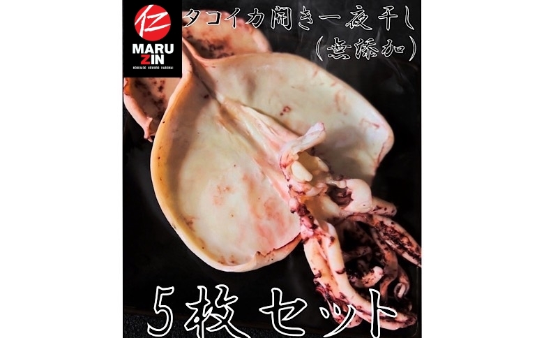 タコイカ開き一夜干し1枚×5P G-50004
