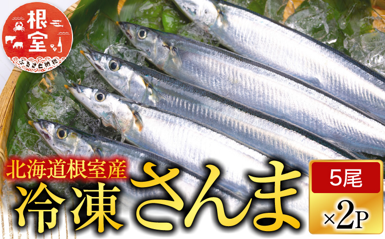 ＜12月21日決済分まで年内配送＞【北海道根室産】冷凍生さんま5尾×2P G-70001