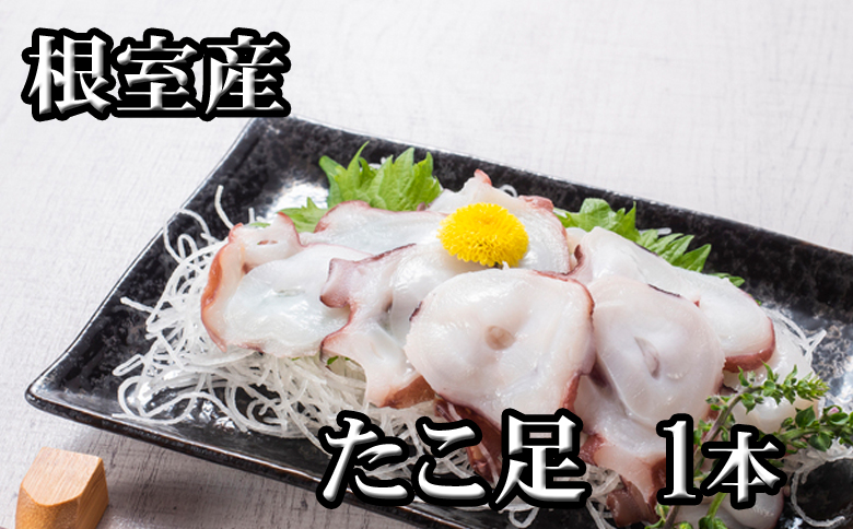 ＜12月21日決済分まで年内配送＞【北海道根室産】たこ足500g前後～800g前後×1本 G-70008