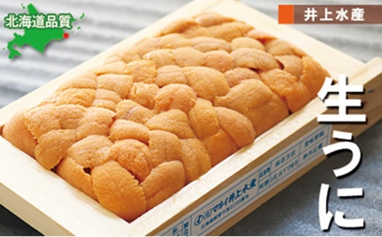 エゾバフンウニ50～60g×1折[2026年3月上旬以降発送] G-71004