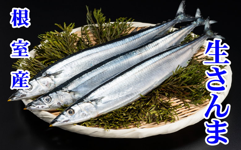 ＜12月21日決済分まで年内配送＞【北海道根室産】冷凍生さんま5尾×2P G-76001