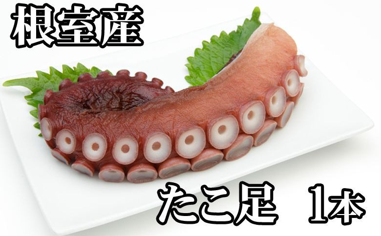 ＜12月21日決済分まで年内配送＞【北海道根室産】たこ足500g前後～800g前後×1本 G-76008