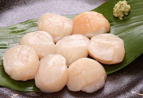 ＜12月21日決済分まで年内配送＞＼漁業者応援品／【北海道根室産】刺身用ホタテ貝柱500g×3P(計1.5kg) D-05005