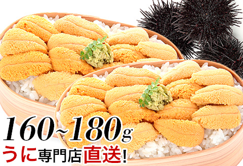<年内配送可>ムラサキウニ80g～90g×2P A-06001