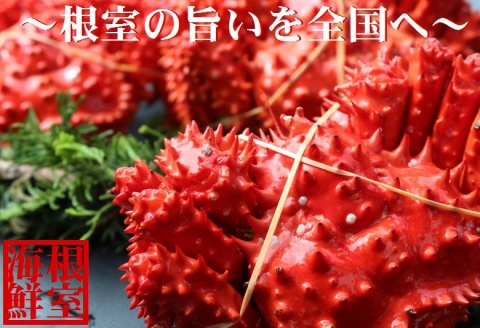 ＜12月21日決済分まで年内配送＞【北海道根室産】花咲ガニ410～500g×3尾 B-57017