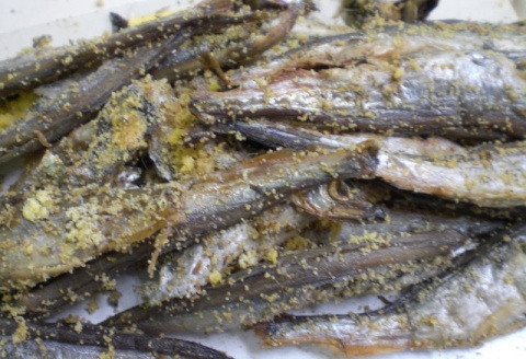 無化調炙りししゃも8袋セット A-33001