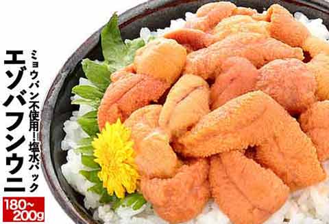 エゾバフンウニ塩水パック90～100g×2P[2026年3月上旬以降発送] B-81008