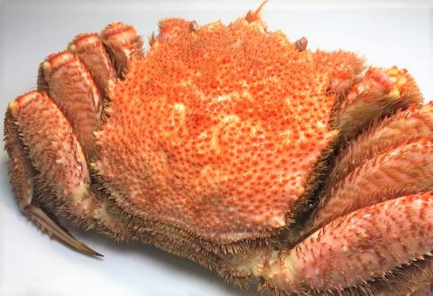 ＜12月17日決済分まで年内配送＞毛がに500～600g×3尾 D-60009