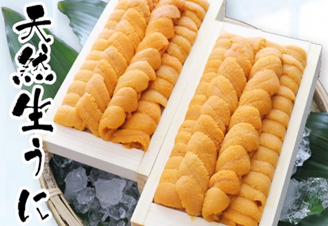 エゾバフンウニ140～150g×2折[2026年2月下旬以降順次発送] D-53034