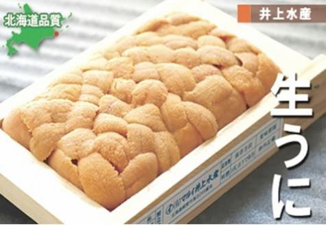 エゾバフンウニ90g×1折[2026年3月上旬以降発送] A-71030