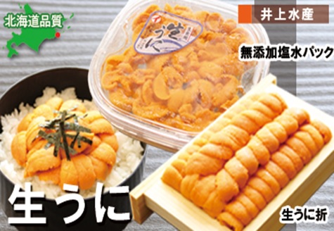 エゾバフンウニ100g×1折・塩水パック100g×1P[2026年3月中旬以降発送] F-71002