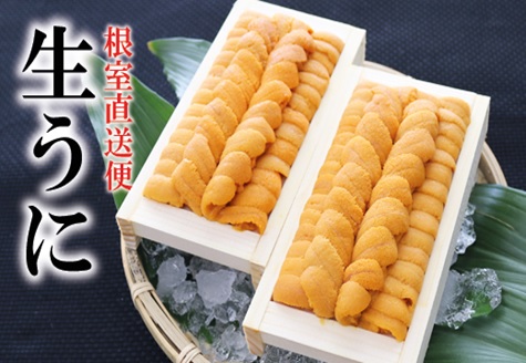 エゾバフンウニ90～100g×2折[2026年3月上旬以降発送] C-71004