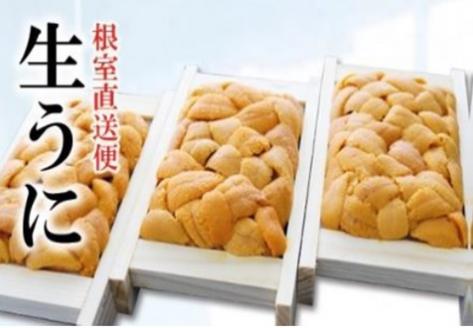 エゾバフンウニ70g×3折[2026年3月上旬以降発送] F-71003