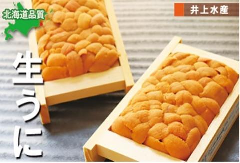 エゾバフンウニ70g×2折[2026年2月下旬以降発送] B-71011