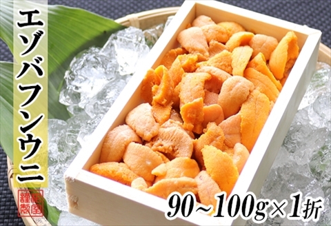 エゾバフンウニ90～100g×1折[11月上旬以降発送] A-71042