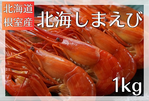 【北海道根室産】北海しまえび1kg B-12001