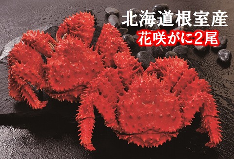 【12/31決済分まで1月中配送】 【北海道根室産】花咲がに500g×2尾 B-01027