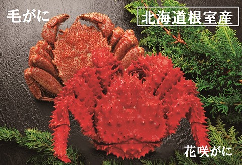 ＜12月21日決済分まで年内配送＞【北海道根室産】毛がにと花咲がに B-01028