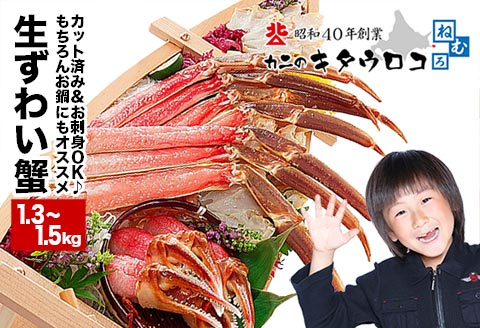 ＜12月21日決済分まで年内配送＞お刺身でも食べられる本ずわいかにしゃぶ詰め合わせ1.3～1.5kg B-25002