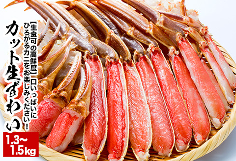 ＜12月21日決済分まで年内配送＞【生食可】カット済み生ずわいがに1.3～1.5kg×1P B-38005