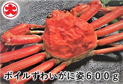 ＜12月21日決済分まで年内配送＞ボイルずわいがに姿600g×1尾 A-01046