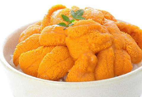 エゾバフンウニ塩水パック50～60g×2P[2026年1月中旬以降発送] A-06011