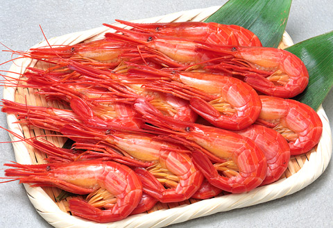 ＜12月17日決済分まで年内配送＞【北海道根室産】北海しまえび400g(19～24尾) A-06010